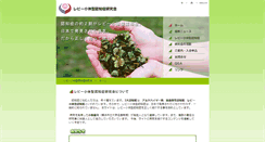 Desktop Screenshot of d-lewy.com